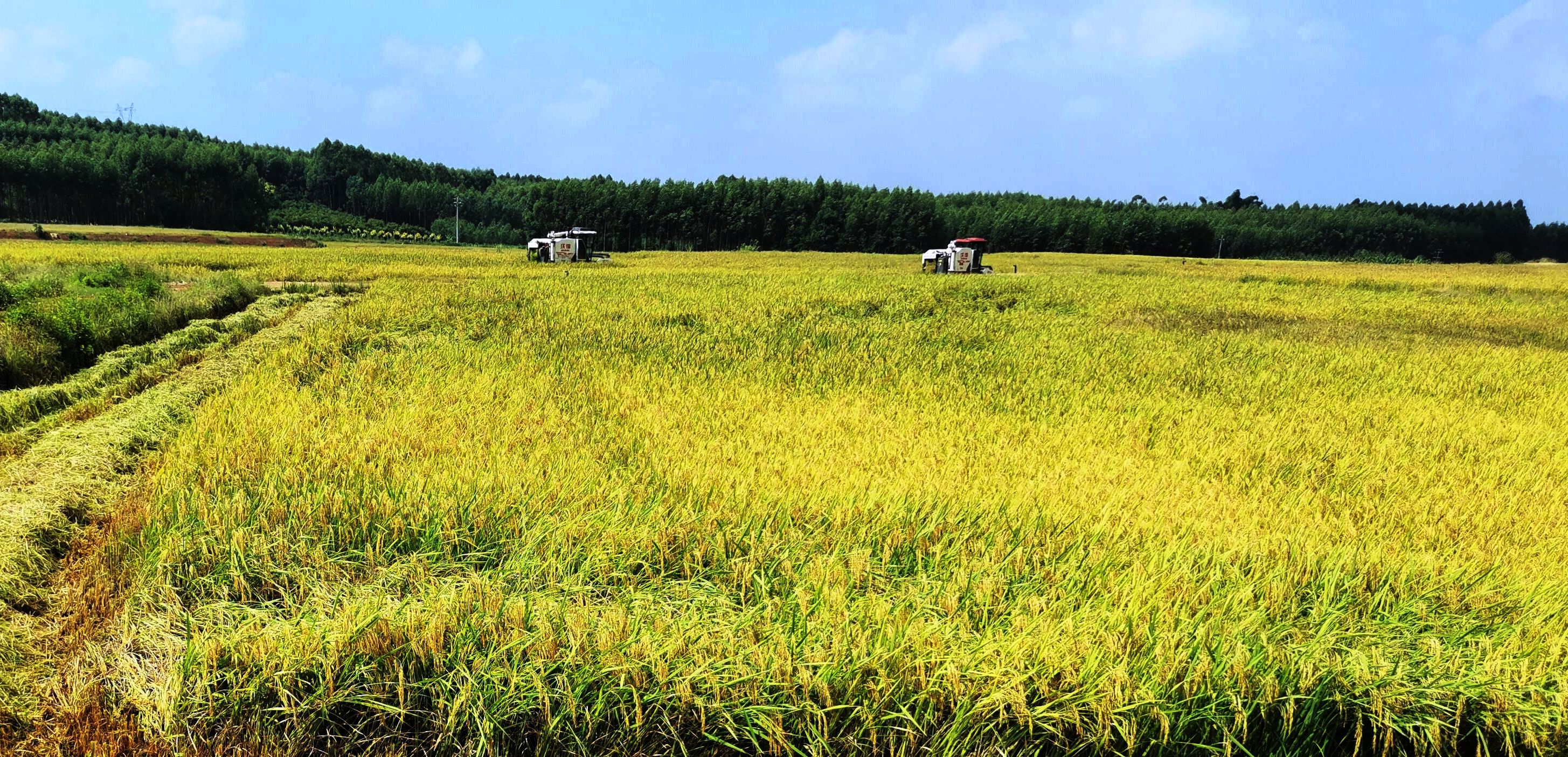 ��ʱ|AG(AsiaGaming)������Ӫ��