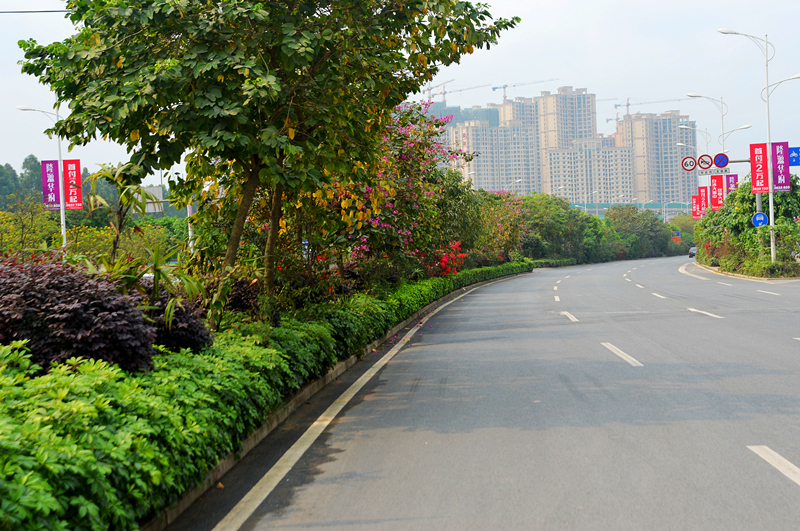 ��ʱ|AG(AsiaGaming)������Ӫ��