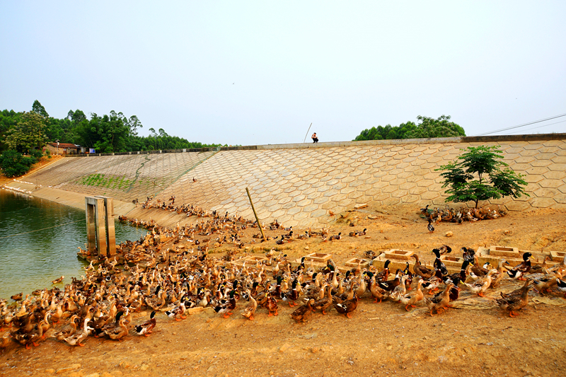 ��ʱ|AG(AsiaGaming)������Ӫ��