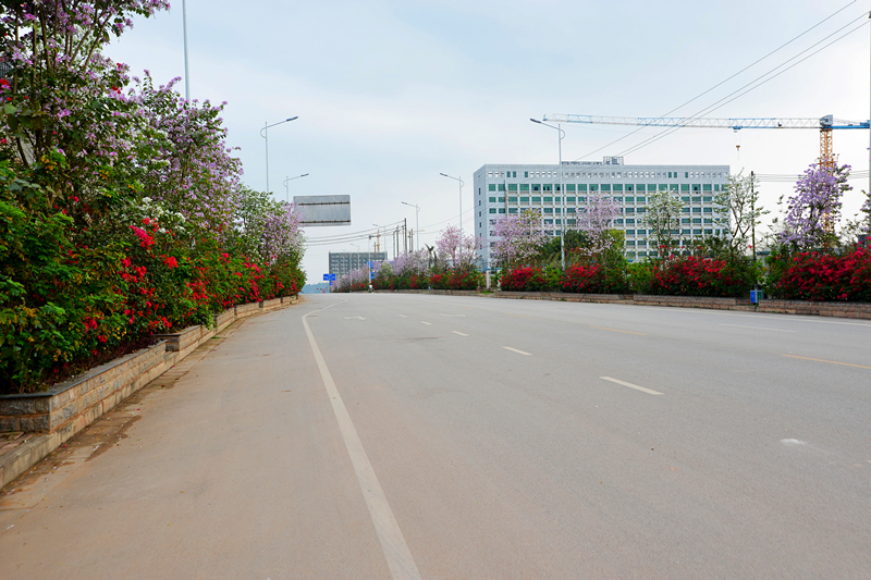 ��ʱ|AG(AsiaGaming)������Ӫ��