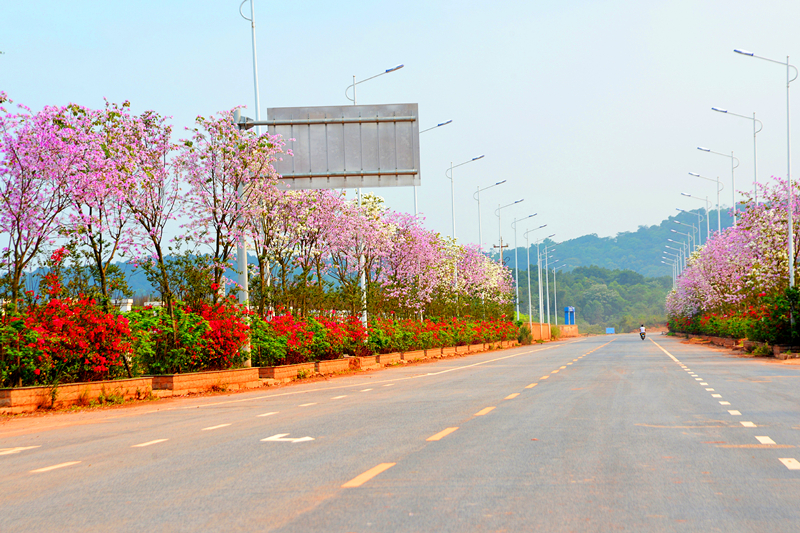 ��ʱ|AG(AsiaGaming)������Ӫ��