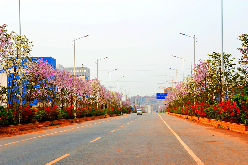 ��ʱ|AG(AsiaGaming)������Ӫ��