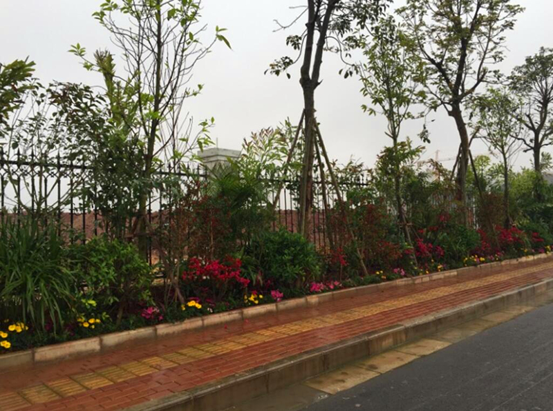 ��ʱ|AG(AsiaGaming)������Ӫ��