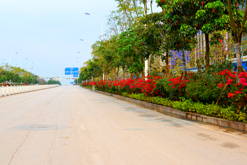 ��ʱ|AG(AsiaGaming)������Ӫ��