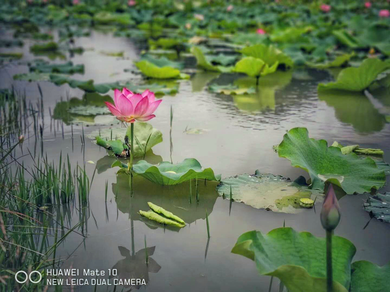 ��ʱ|AG(AsiaGaming)������Ӫ��