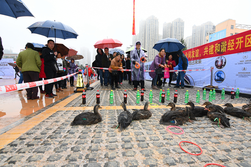 ��ʱ|AG(AsiaGaming)������Ӫ��