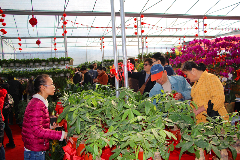 ��ʱ|AG(AsiaGaming)������Ӫ��