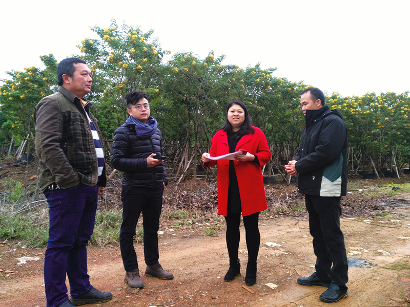 ��ʱ|AG(AsiaGaming)������Ӫ��