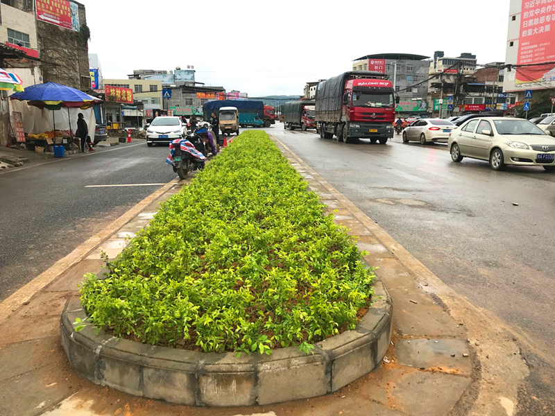 ��ʱ|AG(AsiaGaming)������Ӫ��