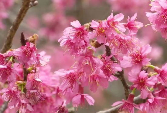 ��ʱ|AG(AsiaGaming)������Ӫ��