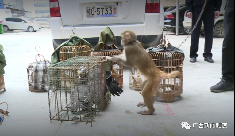 ��ʱ|AG(AsiaGaming)������Ӫ��