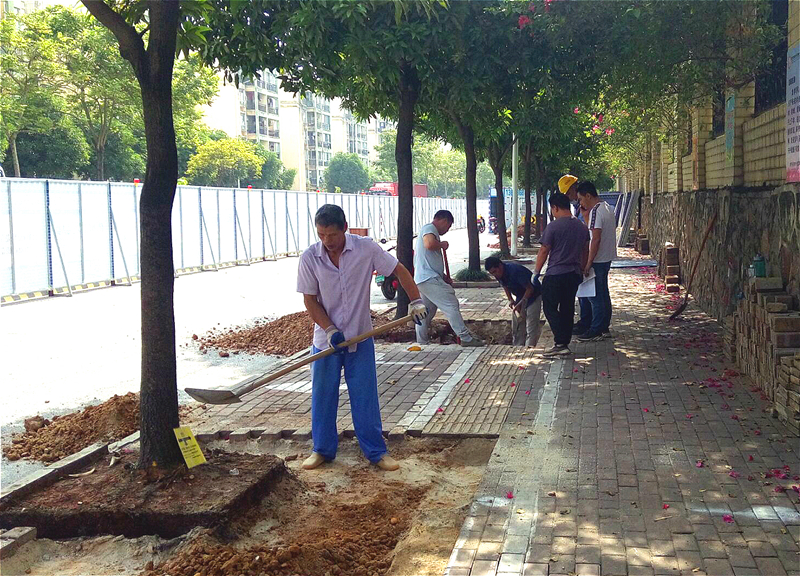 ��ʱ|AG(AsiaGaming)������Ӫ��