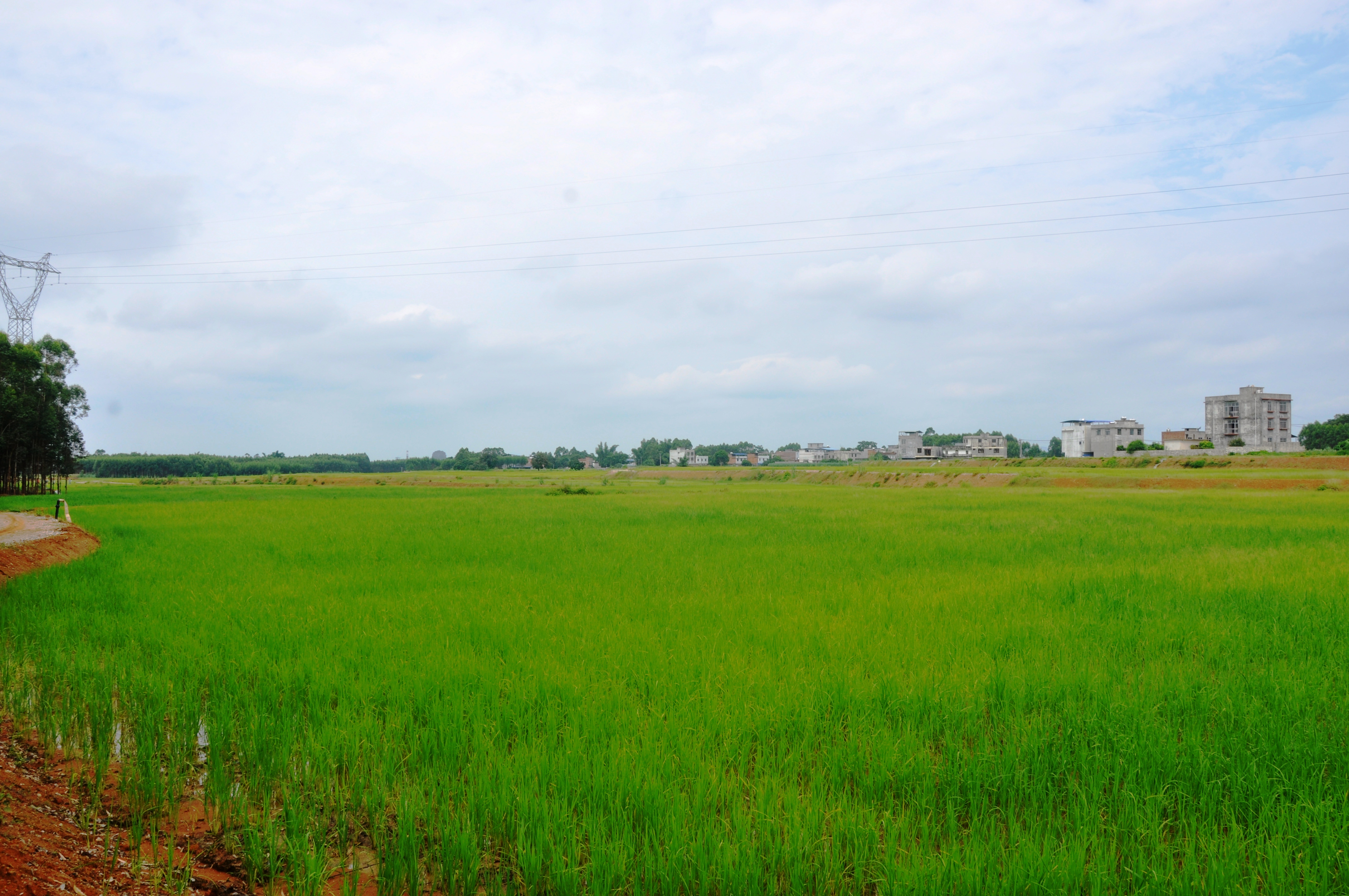 ��ʱ|AG(AsiaGaming)������Ӫ��